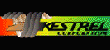 Корпорация "KESTREL"